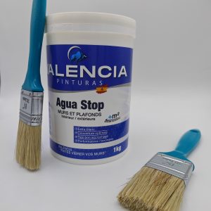 Agua Stop  VALENCIA Pinturas